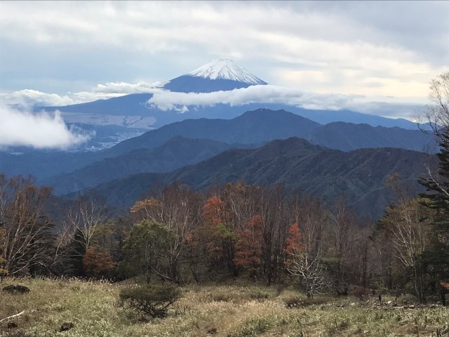 雁ヶ腹摺山の登山道と紅葉状況2019.10.26
