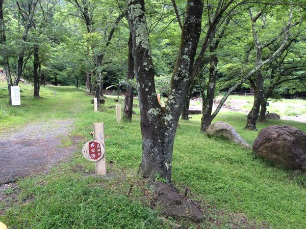 滝子山南尾根コース登山道の様子(2015.6.22)