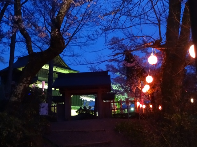 岩殿山の夜桜ライトアップも終了しました。(2016.4.12)