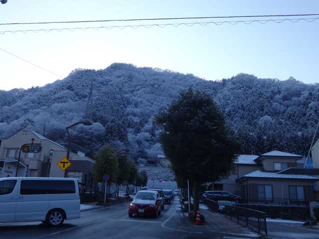 夕べ雪が降りました。(2014.1.22)