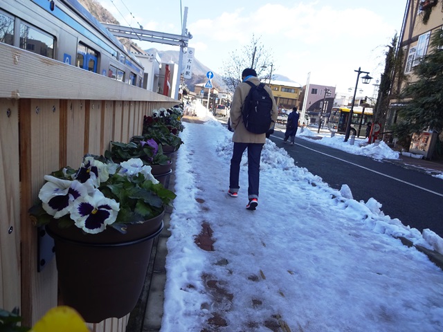 1月15日に雪が降りました。(2015.1.17)