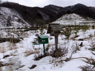 清八山の雪の情報(2013.1.26)