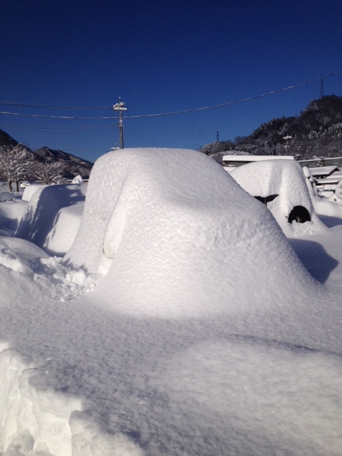 大雪で大変でした。(2014.2.20)