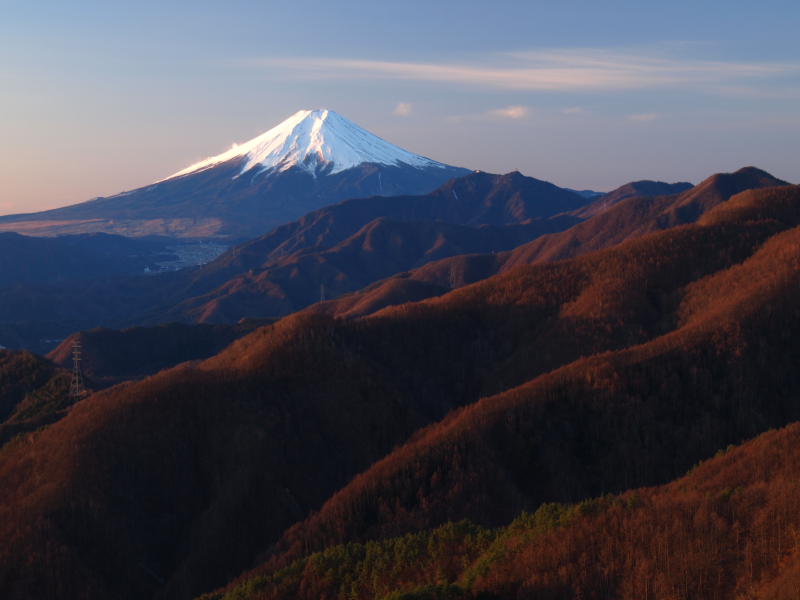 姥子山から望む朝焼けの富士山