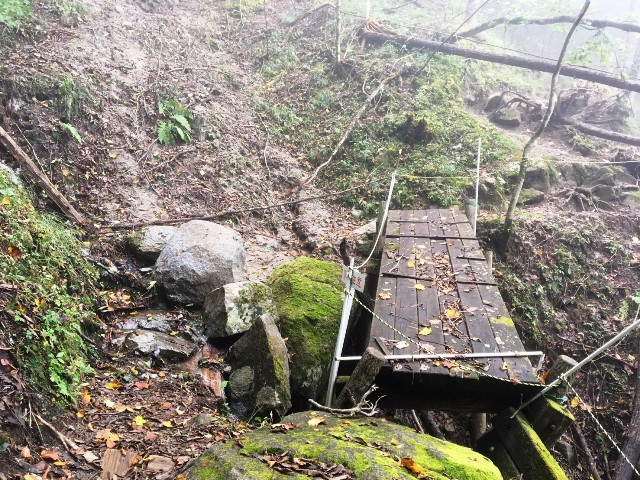  大月市内の山の状況