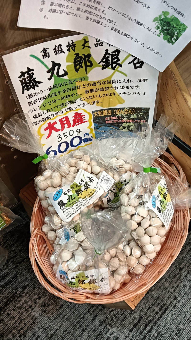 岐阜の高級品種である藤九郎銀杏は大粒で食べ応えも十分