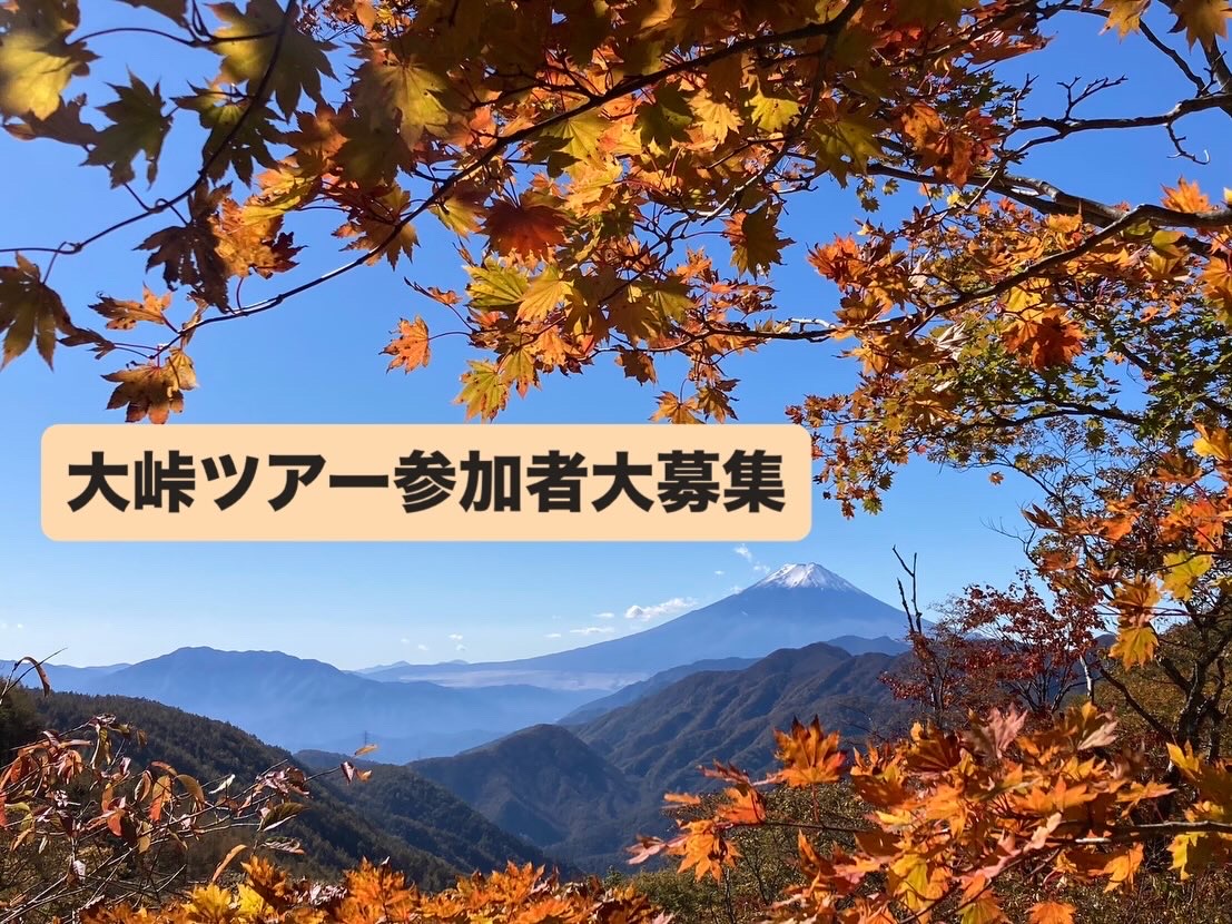 【10/31（土）開催】秋の絶景へ！ 特別タクシー「大峠号」を運行します